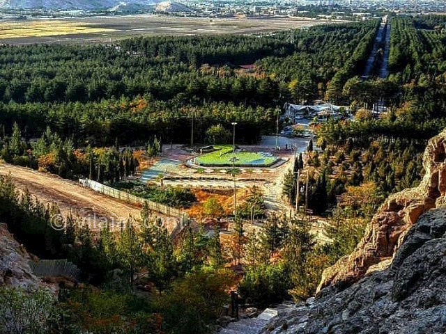 جنگل پردیسان قائم کرمان