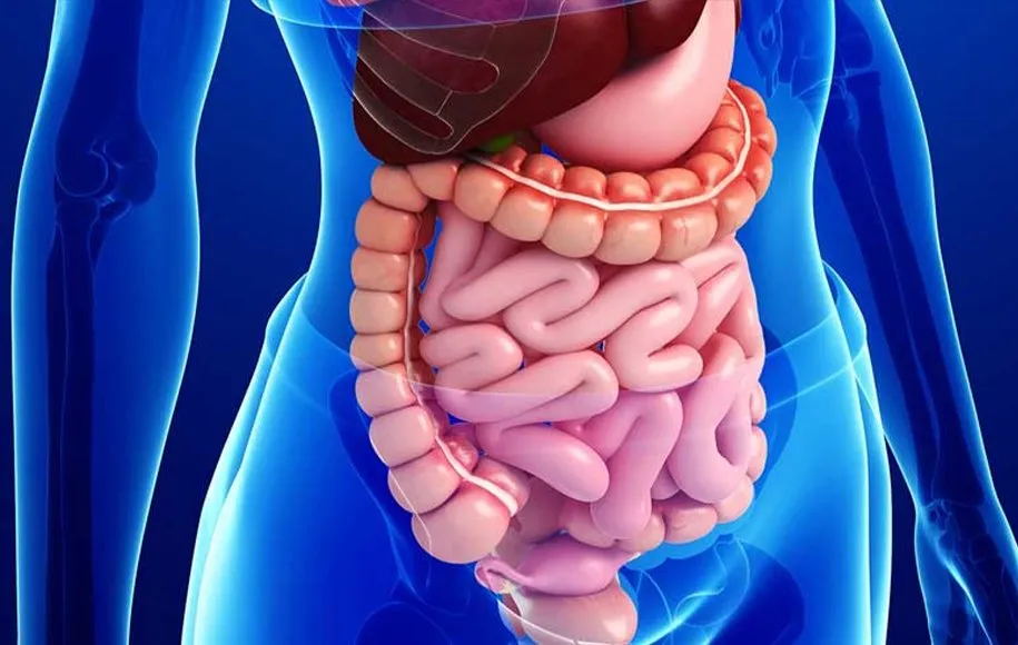 بهترین دکتر گوارش کرمان